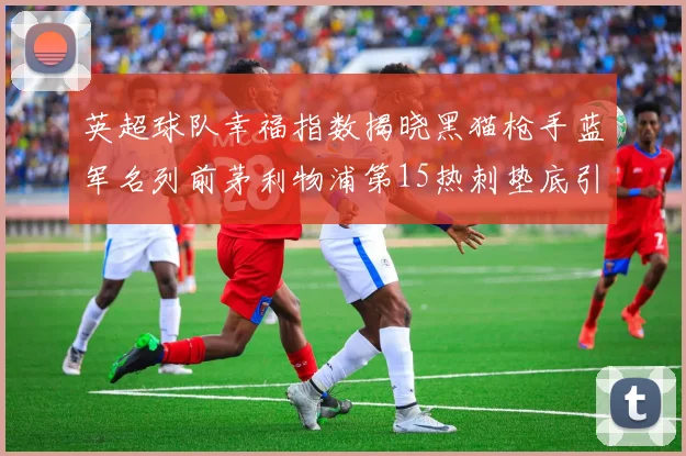 英超球队幸福指数揭晓黑猫枪手蓝军名列前茅利物浦第15热刺垫底引关注
