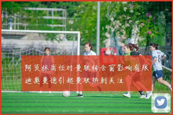 阿莫林离任对曼联转会窗影响有限迪奥曼德引起曼联热刺关注