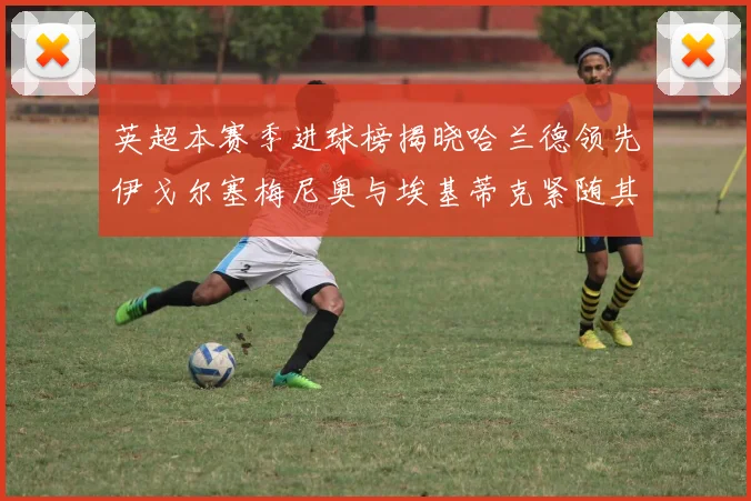 英超本赛季进球榜揭晓哈兰德领先伊戈尔塞梅尼奥与埃基蒂克紧随其后