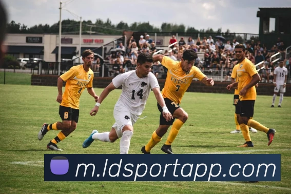 乐动体育服务体系